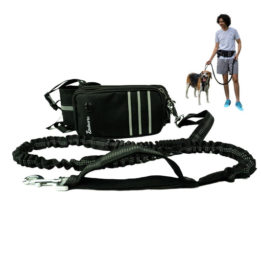 FurDuo hands-free dog leash for walking and running, featuring adjustable straps and secure clip for active pet outings.