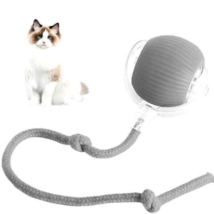 FurDuo ZoomOrb™ Rechargeable Smart Pet Ball