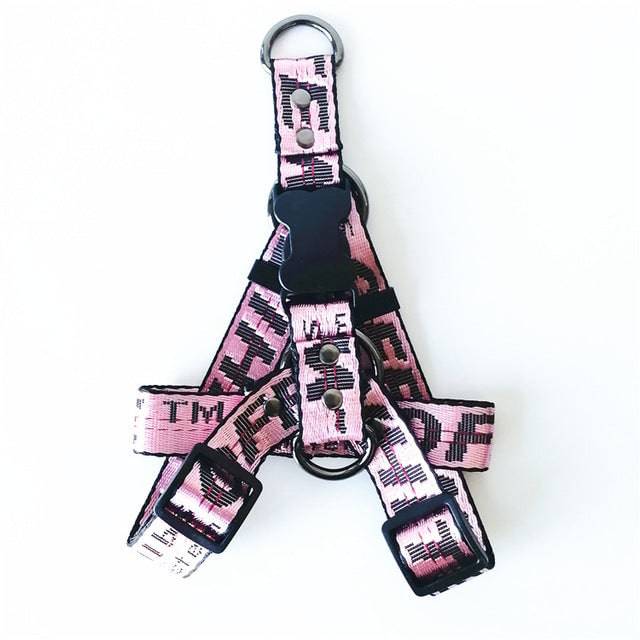 FURDUO gold chain nylon dog collar and leash set, stylish pet accessories with adjustable collar and matching leash.