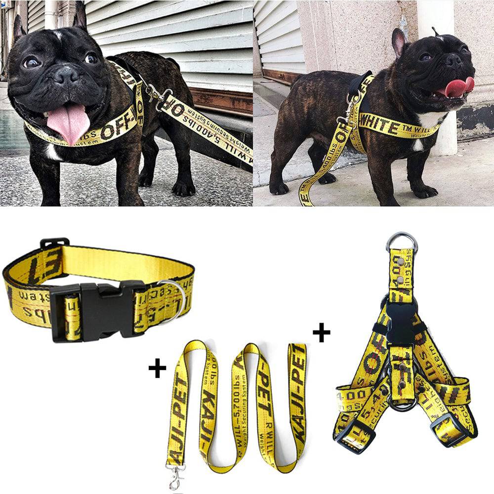 FURDUO gold chain nylon dog collar and leash set with adjustable straps for pets, featuring a stylish and durable design.