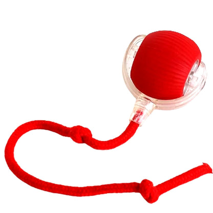 FurDuo ZoomOrb™ Rechargeable Smart Pet Ball