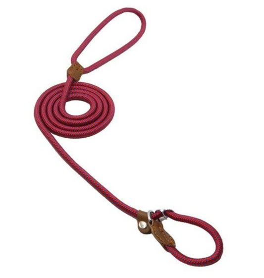 FurDuo AdventureFit™ Collar & Leash Set
