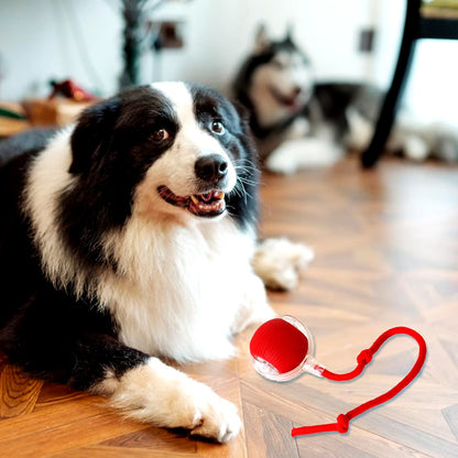 FurDuo ZoomOrb™ Rechargeable Smart Pet Ball