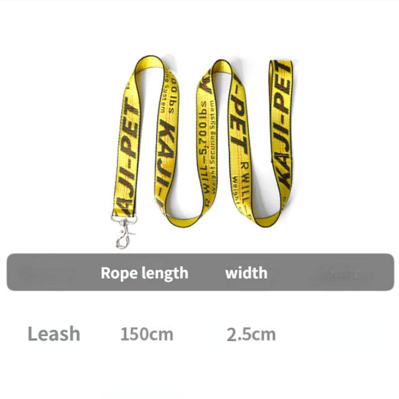 Gold chain nylon dog collar and leash set for pets by FURDUO, featuring a stylish and durable design with metal accents.