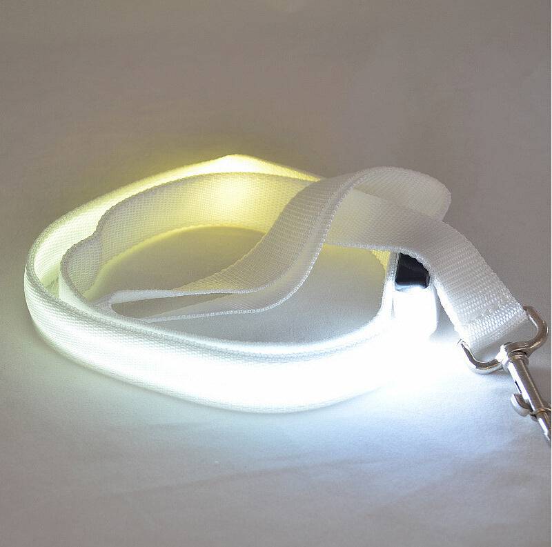 LED glowing dog leash by FURDUO with bright illumination for safe nighttime walks, visible in the image.