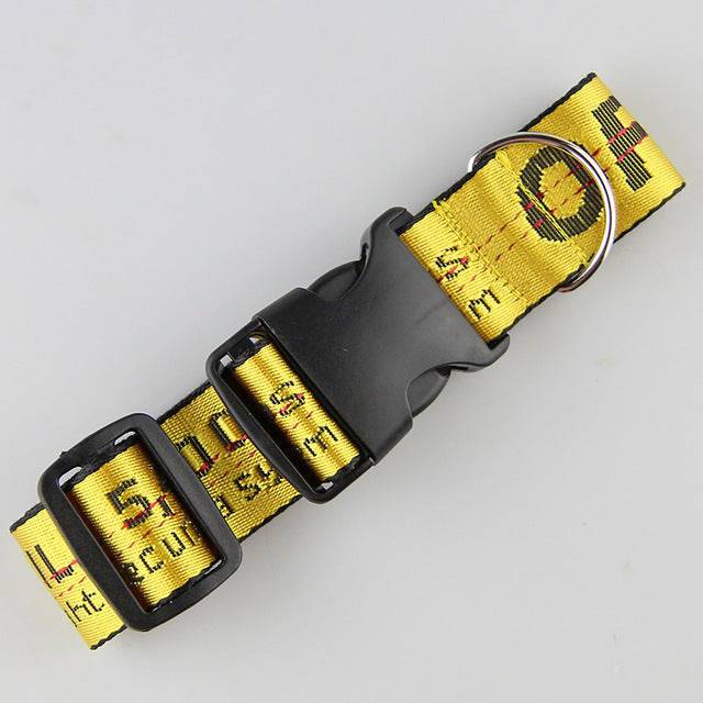 Gold chain nylon dog collar and leash set for pets, featuring durable design and adjustable fit from FURDUO.