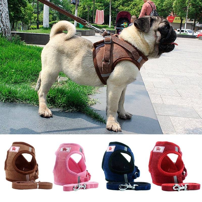 FURDUO CozyWalk Deluxe Dog Harness with padded straps and adjustable fit for comfortable, secure pet walking.