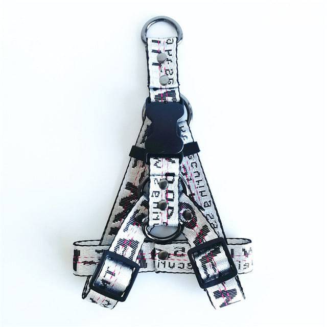Gold chain nylon dog collar and leash set from FURDUO, featuring a stylish gold chain design on durable nylon for pets.
