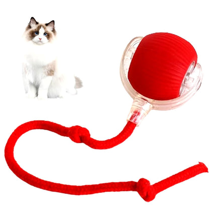FurDuo ZoomOrb™ Rechargeable Smart Pet Ball