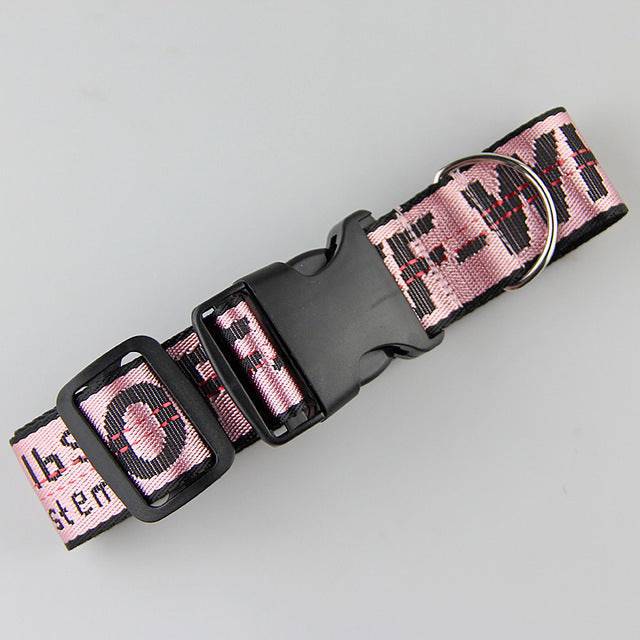 Gold chain nylon dog collar and leash set for pets by FURDUO, featuring a stylish and durable design with metal and nylon components.