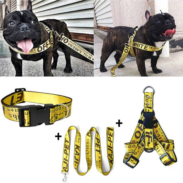 Gold chain nylon dog collar and leash set for pets, featuring a durable FURDUO brand design with stylish gold accents.