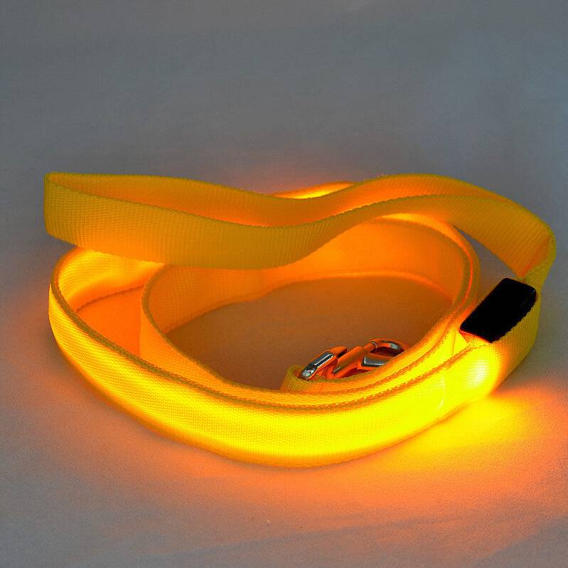 FURDUO LED glowing dog leash with bright lights for safe nighttime walks on a black dog and leash in outdoor setting.