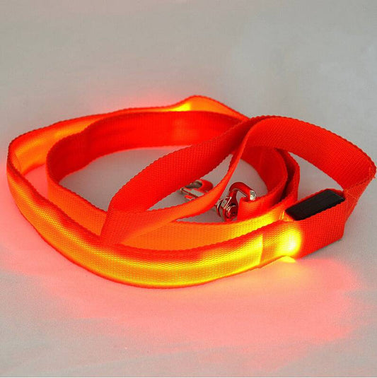 LED glowing dog leash by FURDUO with bright illumination for safe nighttime walks, featuring a durable nylon design.