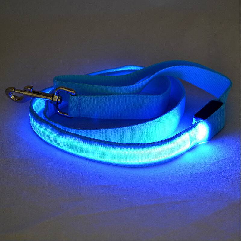 FURDUO LED glowing dog leash with integrated lights for nighttime walks, showcasing the illuminated leash and sturdy handle.
