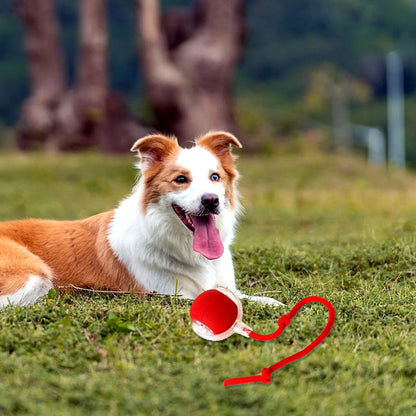 FurDuo ZoomOrb™ Rechargeable Smart Pet Ball