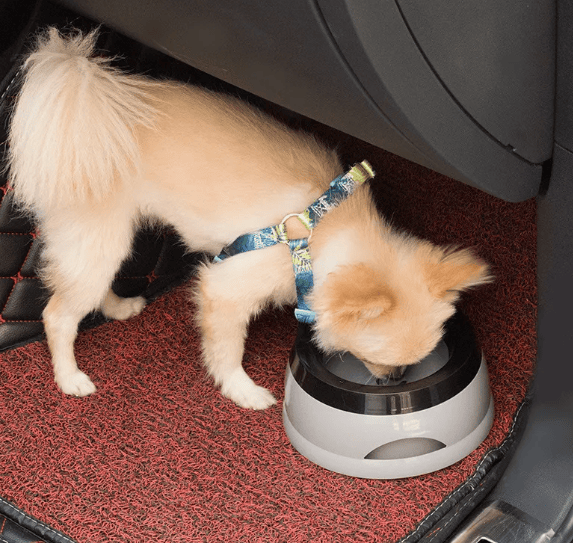 FurDuo No-Spill Travel Dog Water Bowl by FURDUO, portable pet water bowl with spill-proof design for on-the-go use